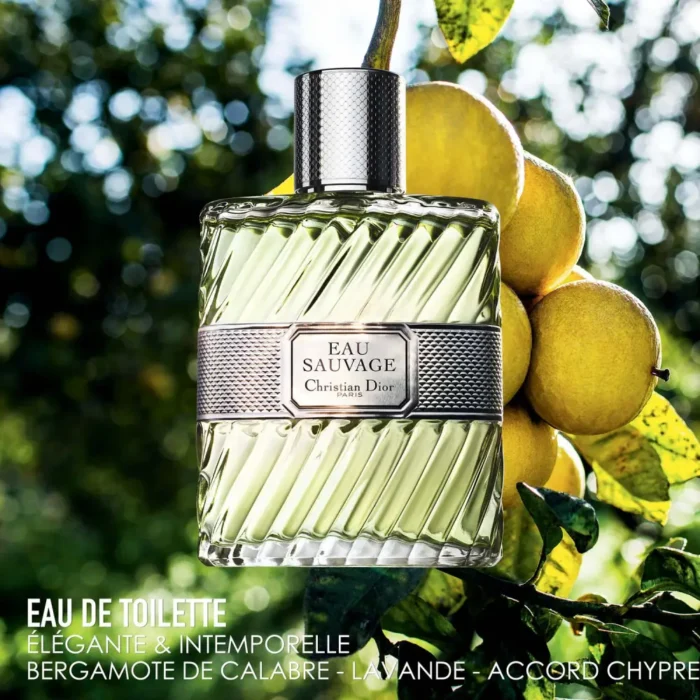عطر ادکلن دیور او ساواج ادو تویلت – Dior Eau Sauvage