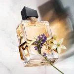 عطر ادکلن ایوسنلورن لیبره | Yves Saint Laurent Libre