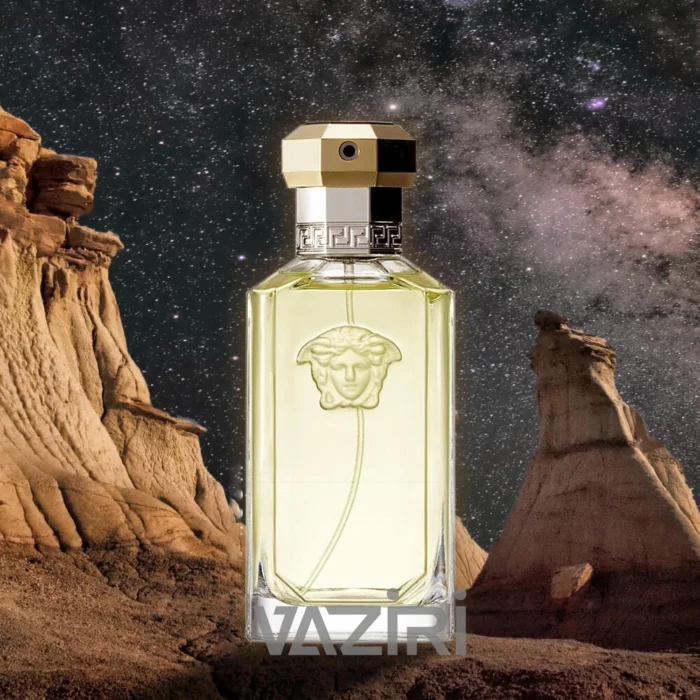 versace dreamer