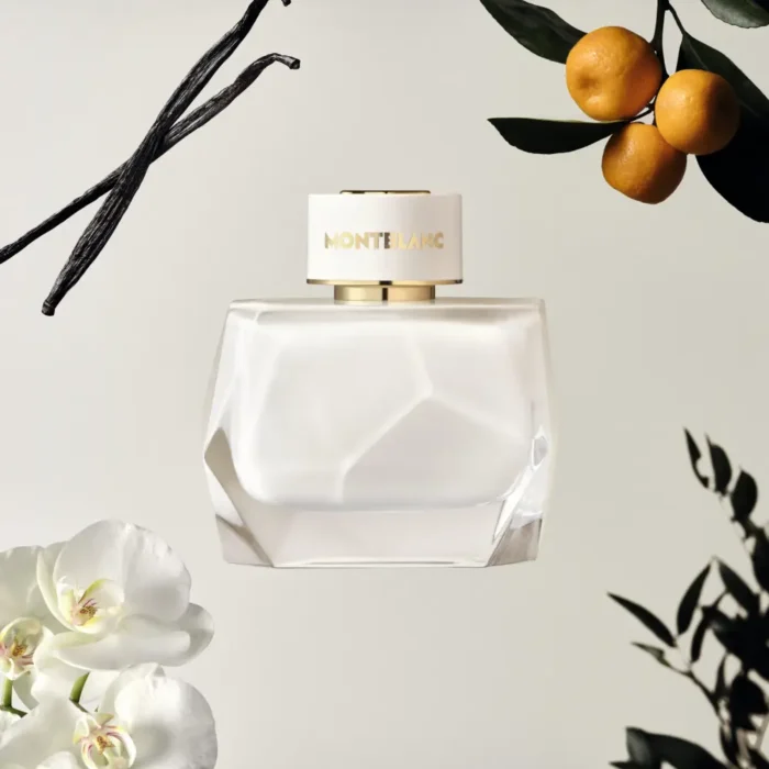 عطر ادکلن مون بلان سیگنچر | Mont Blanc Signature