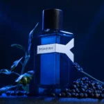 عطر ادکلن ایوسنلورن وای ادوپرفیوم اینتنس | YVES SAINT LAURENT Y Eau de Parfum Intense