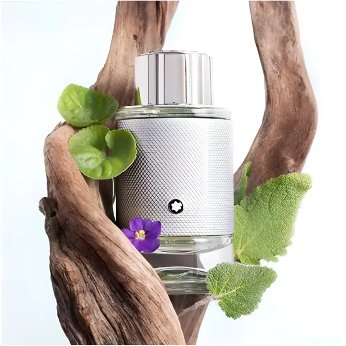 عطر ادکلن مون بلان اکسپلورر پلاتینوم (نقره ایی) | Montblanc Explorer Platinum