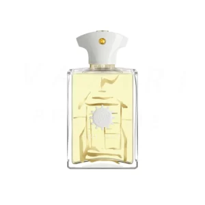 عطر ادکلن آمواج بیچ هات مردانه | Amouage Beach Hut Man