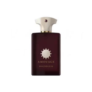 عطر ادکلن آمواج باندلس مردانه | Amouage Boundless For Men