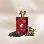 عطر ادکلن آمواج جورنی مردانه | AMOUAGE Journey for Men