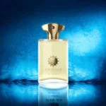 عطر ادکلن آمواج بیلاود مردانه | Amouage Beloved Man