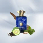 عطر ادکلن آمواج اینترلود مردانه | Amouage Interlude