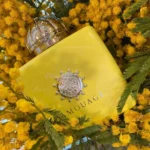 عطر ادکلن آمواج لاو میموسا | Amouage Love Mimosa