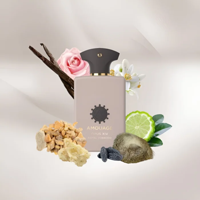 عطر ادکلن آمواج اوپوس پنج وودز سیمفونی | Amouage Opus V Woods Symphony