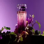 عطر ادکلن لانکوم ترزور میدنایت رز Lancome Tresor Midnight Rose l
