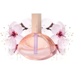 عطر ادکلن سی کی اندلس ایفوریا | Calvin Klein - Endless Euphoria