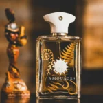 عطر ادکلن آمواج براکن مردانه | Amouage Bracken Man