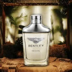 عطر ادکلن بنتلی اینفینیتی ادو تویلت | Bentley Infinite Eau de Toilette