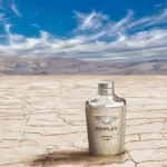 عطر ادکلن بنتلی اینفینیتی راش | Bentley Infinite Rush