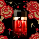 مونگال فلامنکو _ MONEGAL FLAMENCO