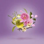 عطر ادکلن کازاموراتی زرژوف (سرژوف) لاتوسکا _ Xerjoff Casamorati La Tosca