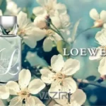 عطر ادکلن لووه ال کول | Loewe L Cool