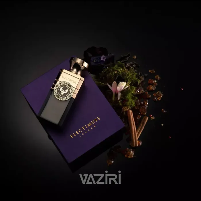 عطر ادکلن الکتیموس ویسی لدر | Electimuss Vici Leather