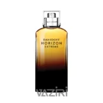 عطر ادکلن دیویدوف هرایزن اکستریم | Davidoff Horizon Extreme