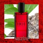 عطر ادکلن دیویدوف هات واتر | Davidoff Hot Water