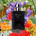 عطر ادکلن پرادا لهوم ابسولو | Prada L’Homme Absolu