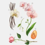 عطر ادکلن زارا پینک فلامبی | zara pink flambé