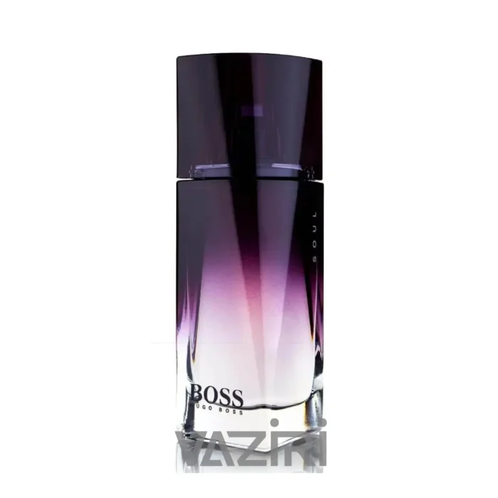 عطر ادکلن هوگو بوس سول-Hugo Boss Soul