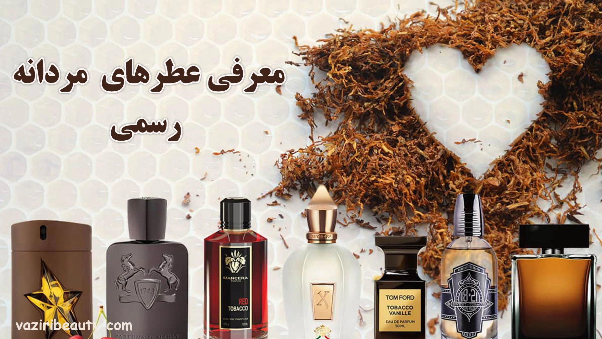معرفی عطر مردانه رسمی 1 عطر مردانه رسمی