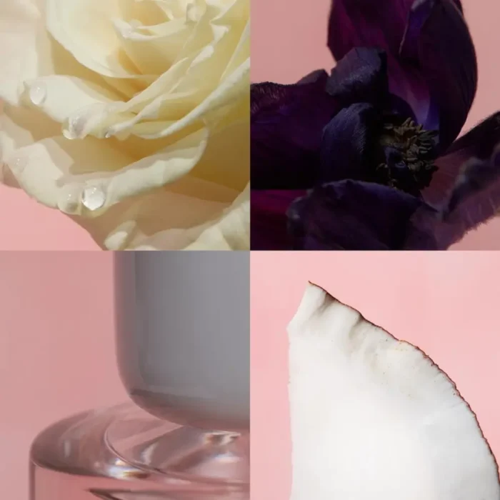 عطر زنانه زارا واندر رز | WONDER ROSE