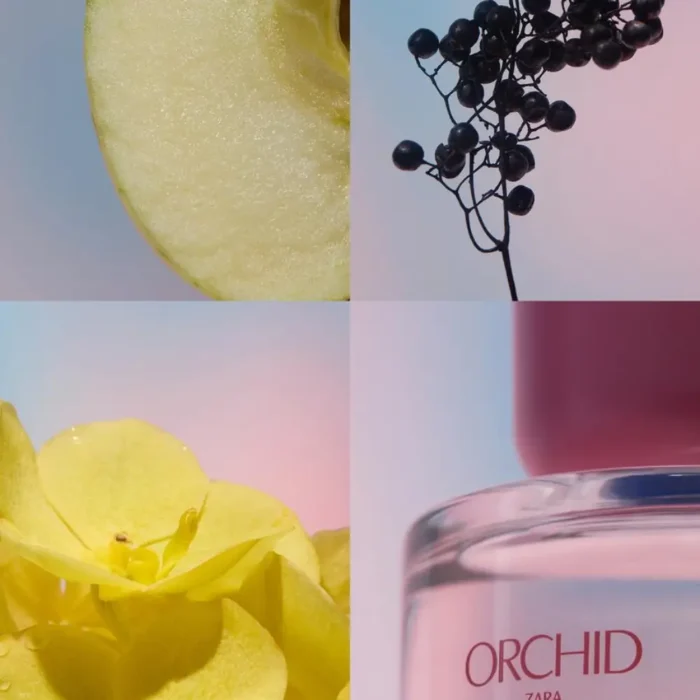 عطر زنانه زارا ارکید | ZARA ORCHID