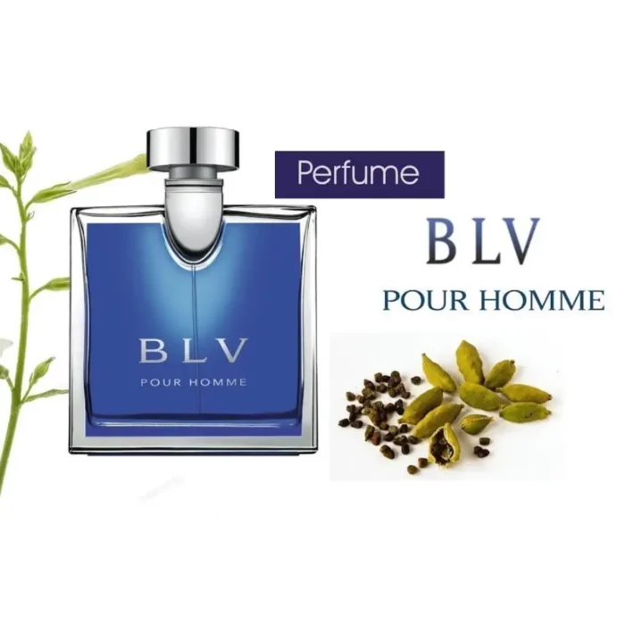 عطر ادکلن بولگاری بی ال وی مردانه | Bvlgari BLV Pour Homme