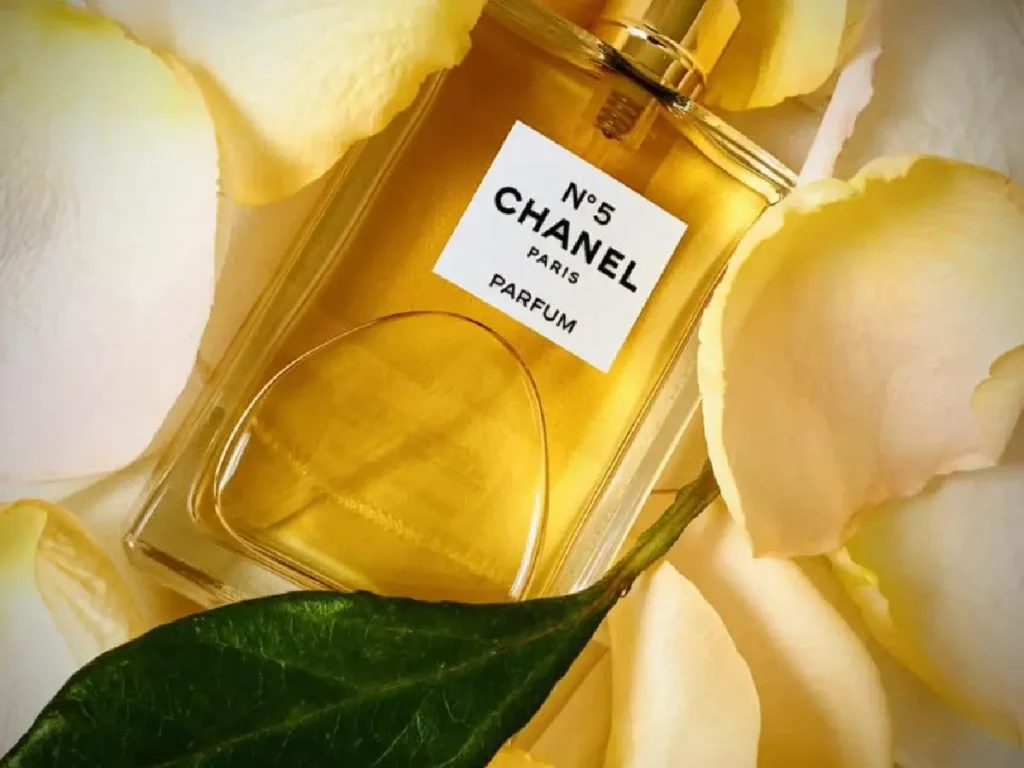بهترین عطرهای شنل برای بانوان کدام اند؟ 3 بهترین عطرهای شنل برای بانوان کدام اند؟
