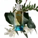 عطر ادکلن هرمس آن جاردین این مدیترانه | Hermes Un Jardin En Mediterranee