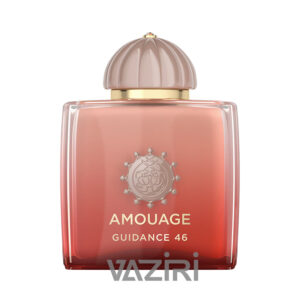 عطر ادکلن آمواج گایدنس 46 | Amouage Guidance 46