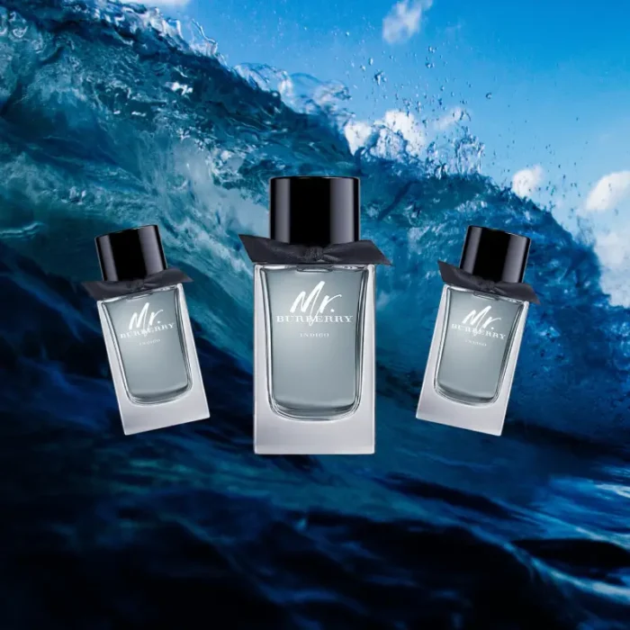 عطر ادکلن مستر بابری ایندیگو | Mr. burberry indigo