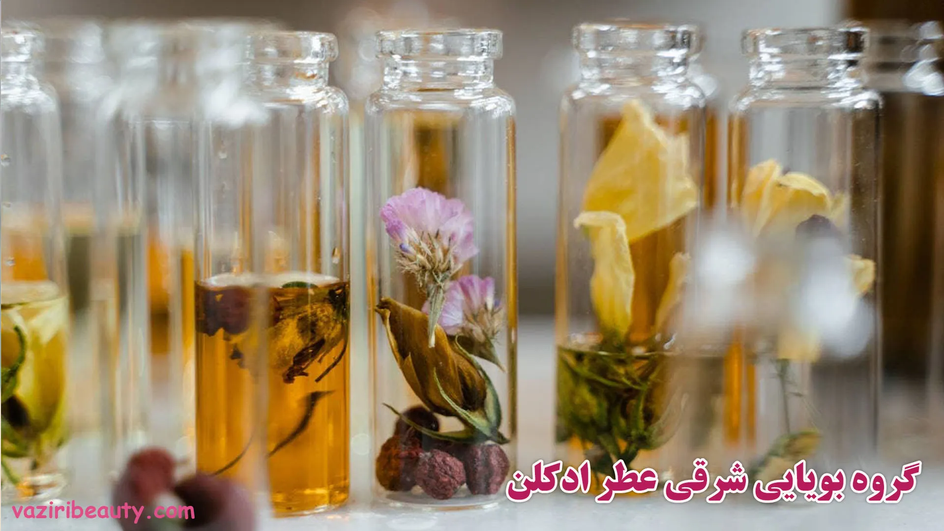 عطر با گروه بویایی شرقی به چه معناست؟ 1 گروه بویایی شرقی - عطر گروه بویایی شرقی