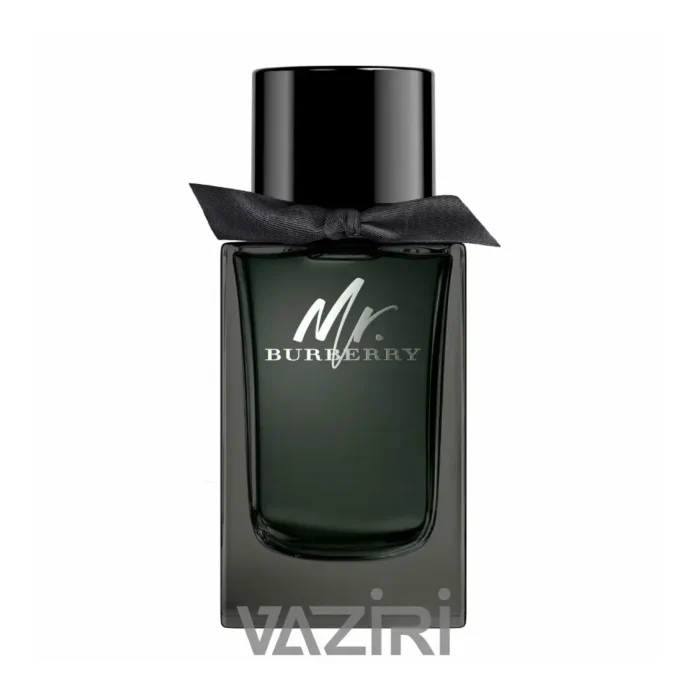 عطر ادکلن باربری مستر باربری ادو پرفیوم | Burberry Mr. Burberry Eau de Parfum