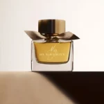 عطر ادکلن باربری مای باربری ادوپرفیوم | Burberry My Burberry