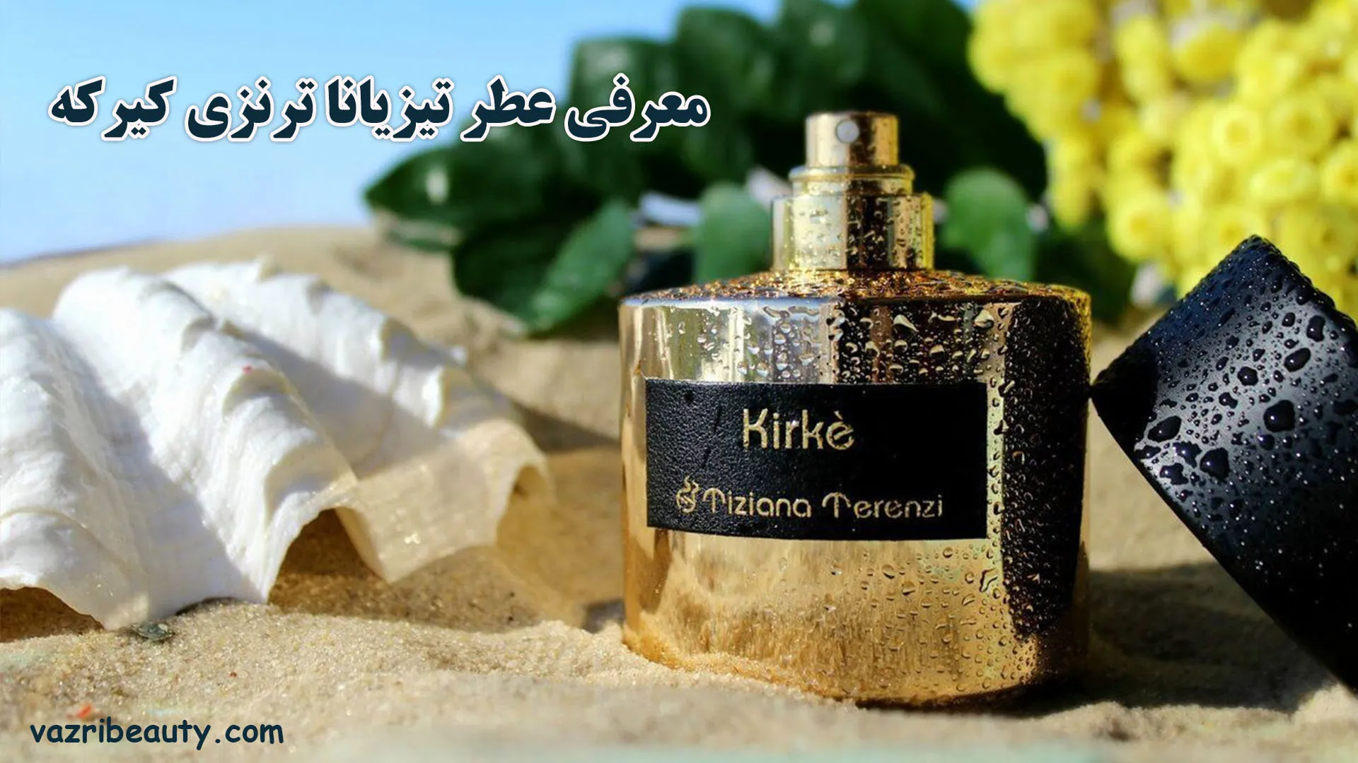 بررسی و معرفی عطر تیزیانا ترنزی کیرکه 1 معرفی عطر تیزیانا ترنزی کیرکه