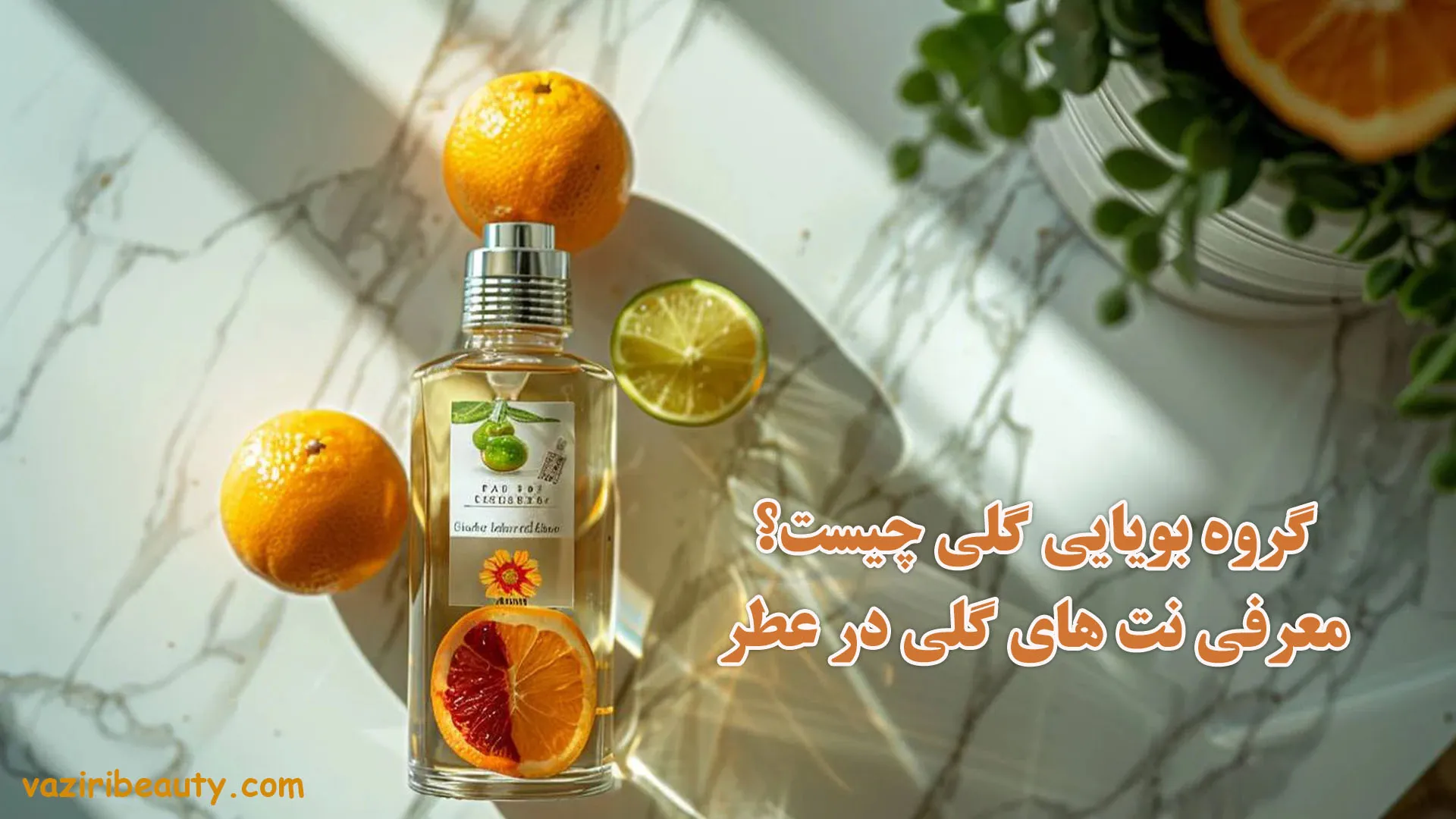 گروه بویایی مرکبات 1 گروه بویایی مرکبات - گروه بویایی مرکباتی