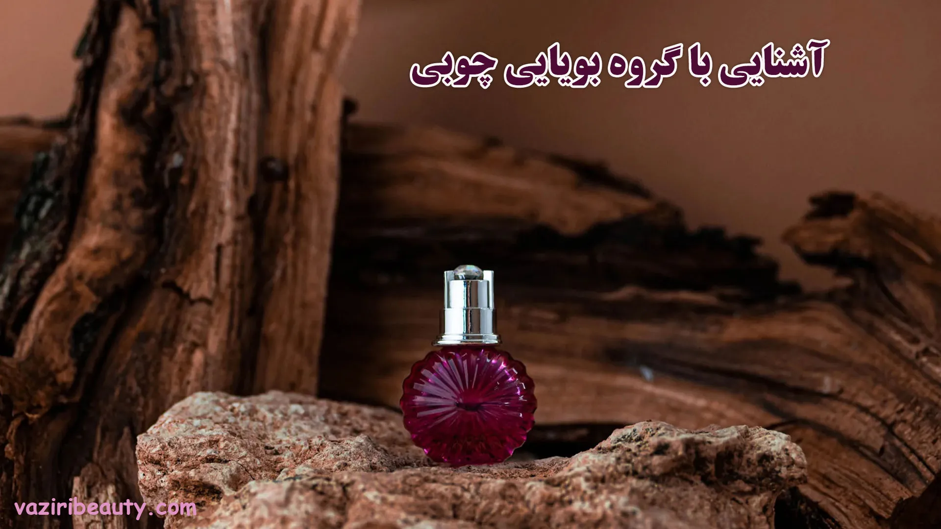 گروه بویایی چوبی چیست؟ + آشنایی با نت های چوبی 1 گروه بویایی چوبی