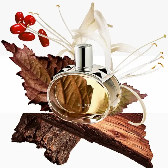 عطر ادکلن هرمس بارنیا | Hermes Barenia