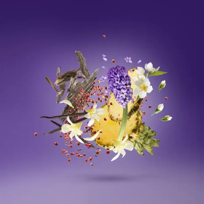 عطر ادکلن زرجوف پرپل اچنتو | Xerjoff Purple Accento