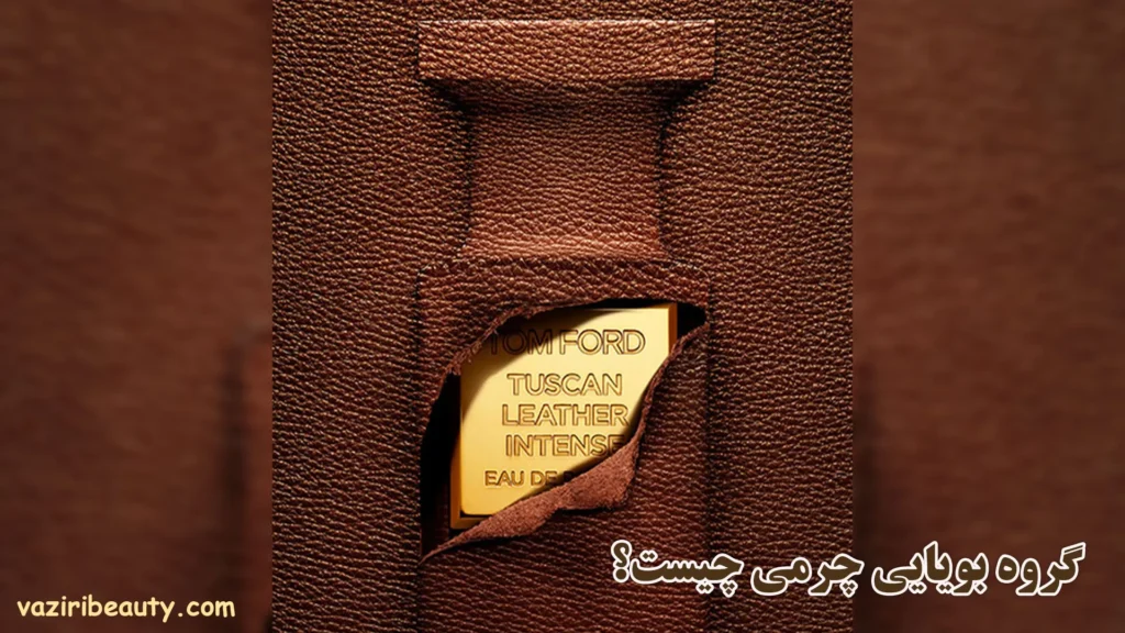 گروه بویایی چرمی