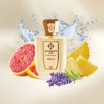 عطر ادکلن یونیک لاکچری آکدنیز | Unique’e Luxury Akdeniz